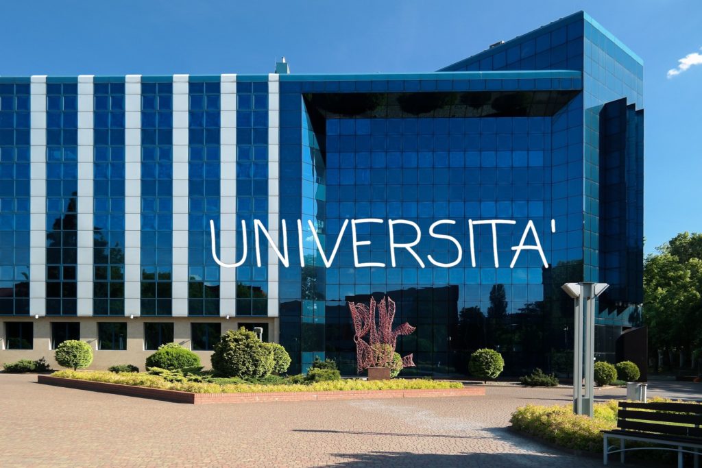 5ea9b7315fc93_universita